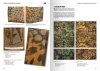 AK Interactive AK130008 WAFFEN-SS CAMOUFLAGE UNIFORMS BY WERNER PALINCKX ( English )